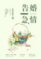 婚情告急免费阅读裴寂