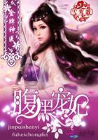 金牌神医之腹黑妃